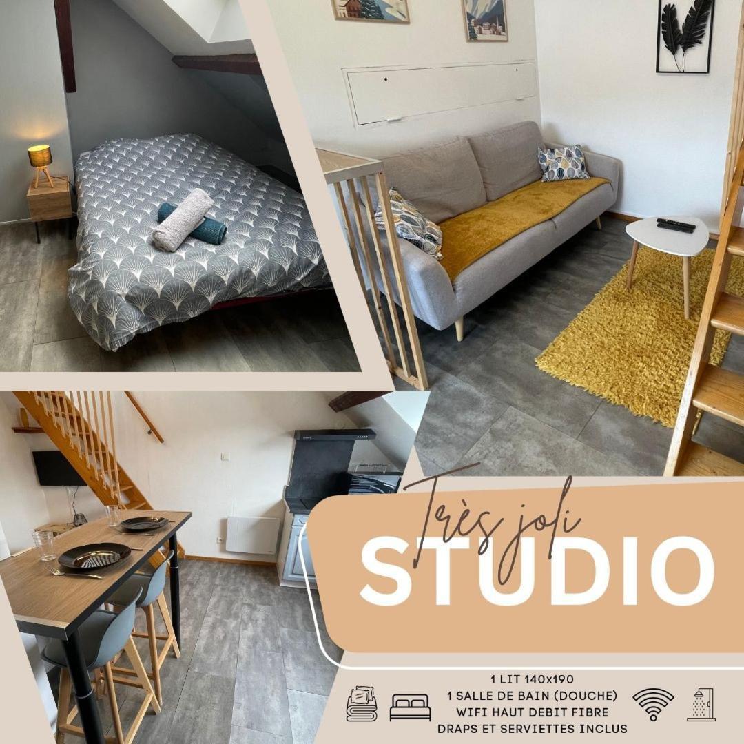 Superbe Studio A Proximite Du Centre-Ville Saint-Die-des-Vosges Extérieur photo